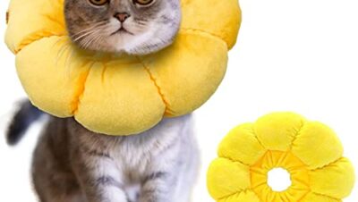 IOSPKKIO® Halsband för katter och små hundar, justerbart halsband efter operation, mjuk solros återställande krage kon