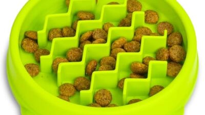 Petstages Kitty Slow Feeder - Kattskål - grön